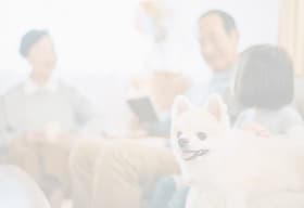 REALIZE株式会社 | できる家は、きっと想像以上。
