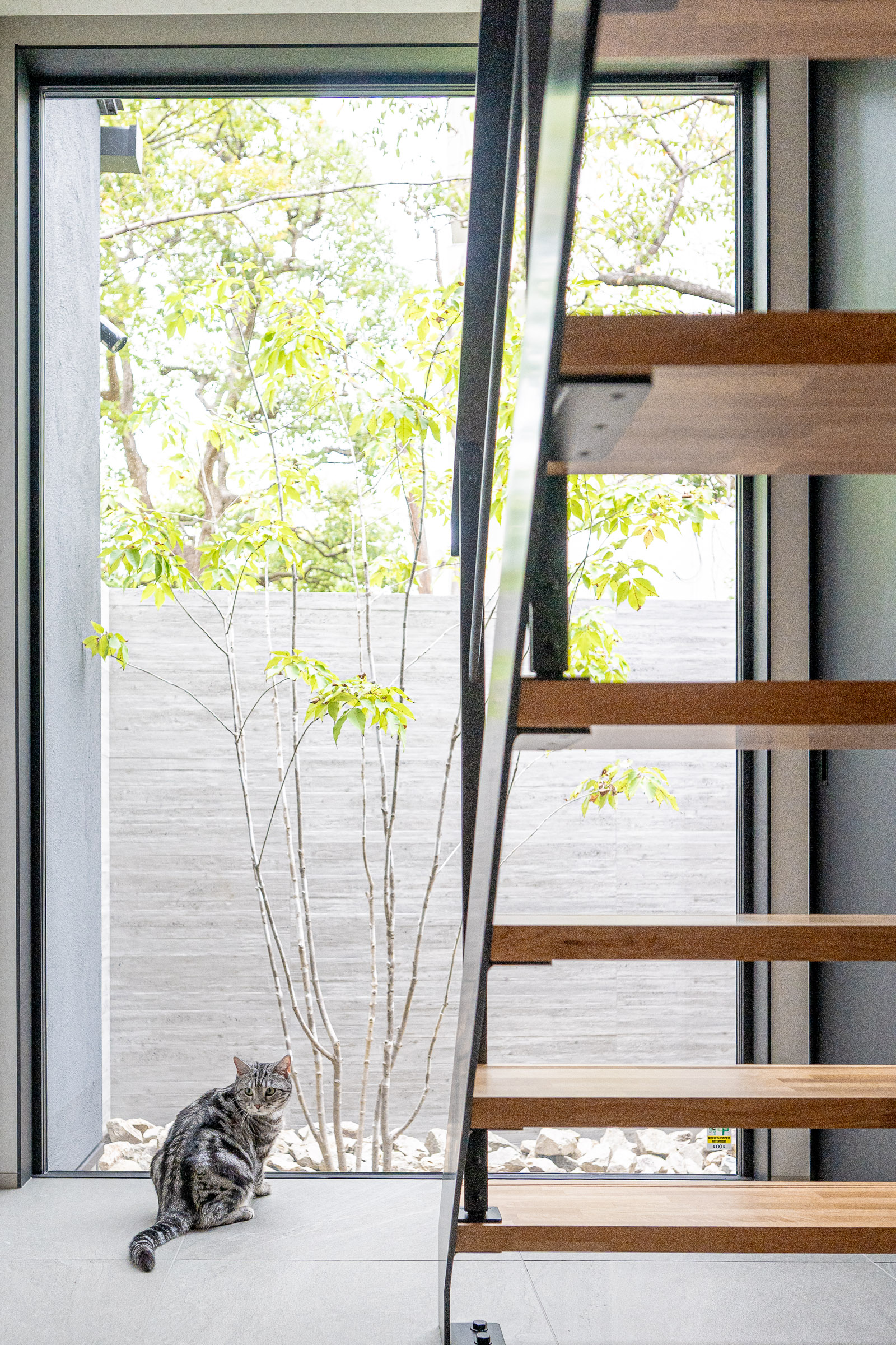 「ただ見るだけ」ではもったいない。私たちがモデルハウスを「ルームツアー形式」でご案内する理由