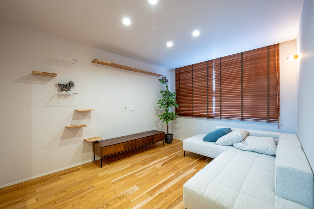 迎える日を待つ、猫と暮らす家